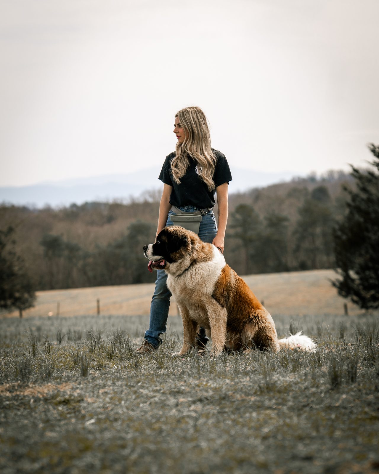 A woman standing in a hilltop field beside a seated Saint Bernard